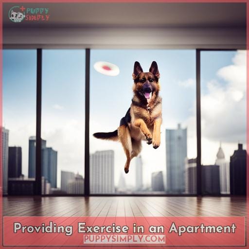 Providing Exercise in an Apartment