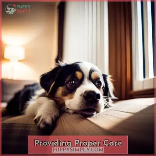 Providing Proper Care