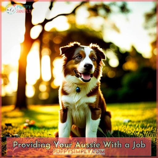 Providing Your Aussie With a Job