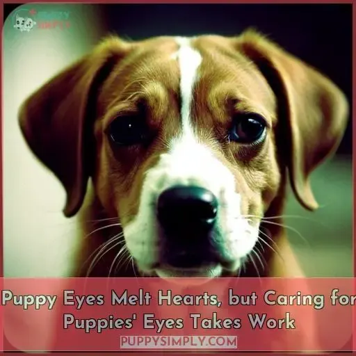 puppy eyes