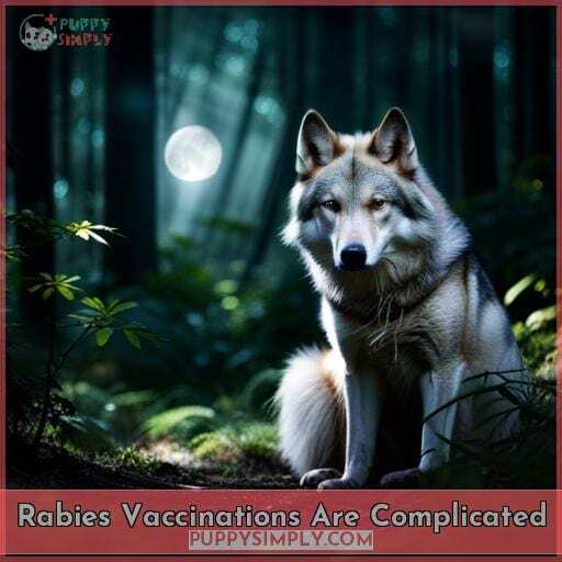 Rabies Vaccinations Are Complicated Rabies Vaccinations Are Complicated