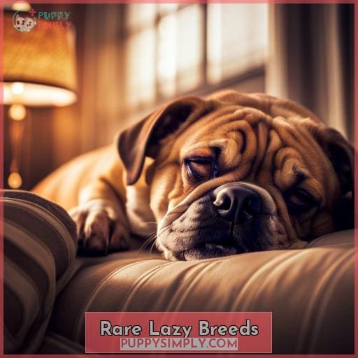 Rare Lazy Breeds