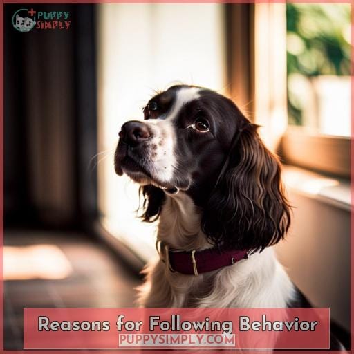 Reasons for Following Behavior Reasons for Following Behavior