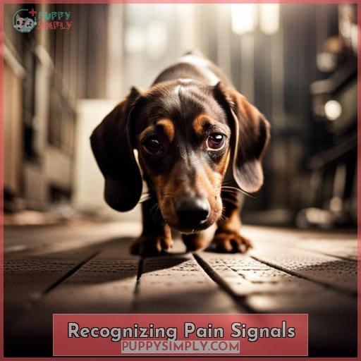 Recognizing Pain Signals