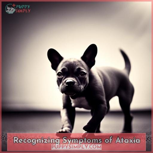 Recognizing Symptoms of Ataxia
