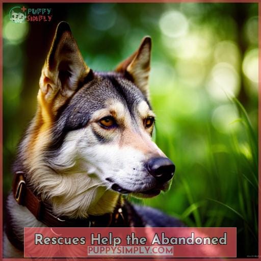 Rescues Help the Abandoned