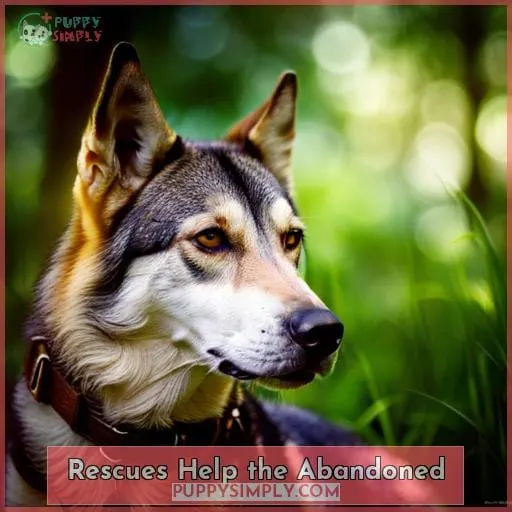 Rescues Help the Abandoned