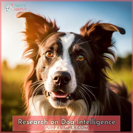 Research on Dog Intelligence