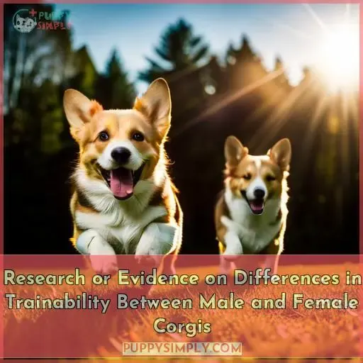 Research or Evidence on Differences in Trainability Between Male and Female Corgis