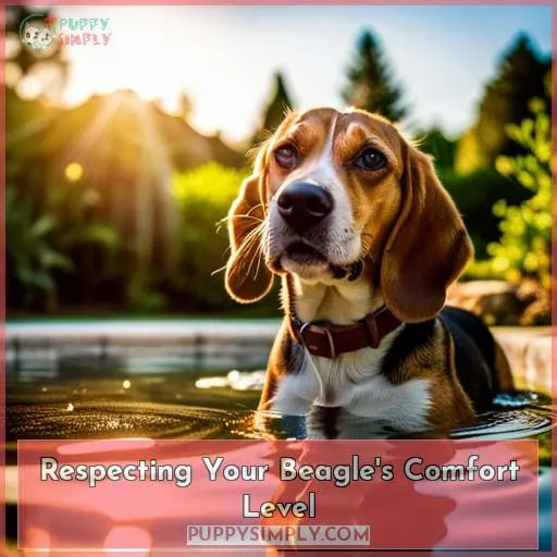 Respecting Your Beagle