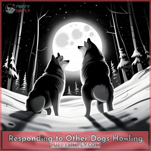 Responding to Other Dogs Howling