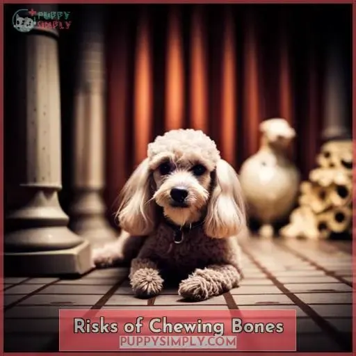 Risks of Chewing Bones