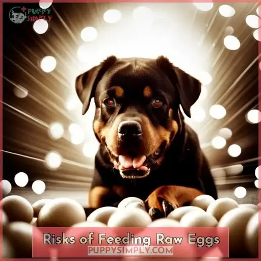 Risks of Feeding Raw Eggs