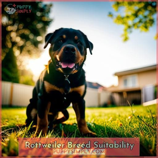 Rottweiler Breed Suitability