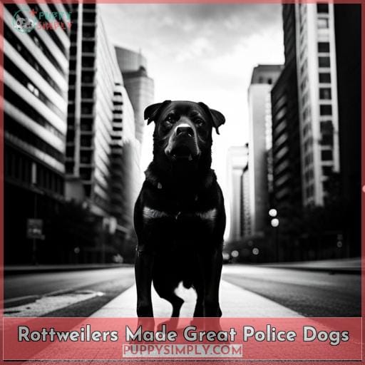 Rottweilers Made Great Police Dogs
