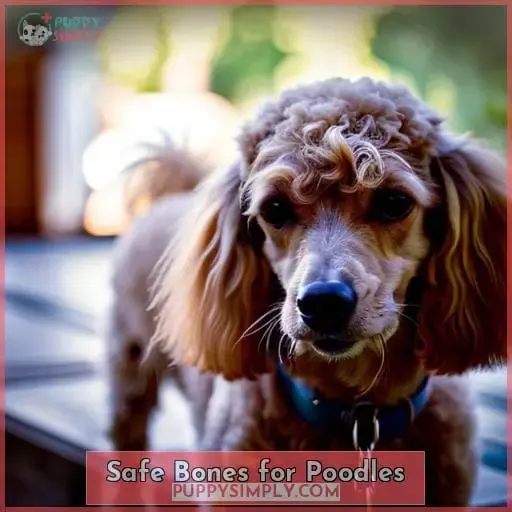 Safe Bones for Poodles
