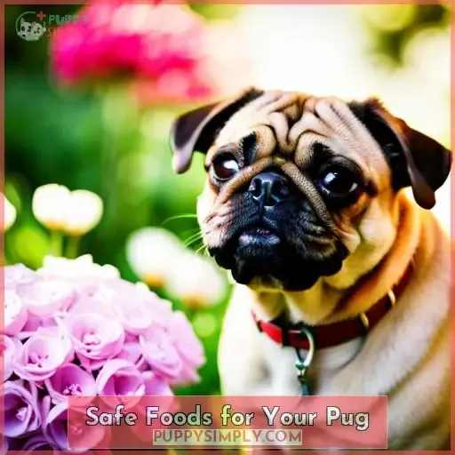 Safe Foods for Your Pug