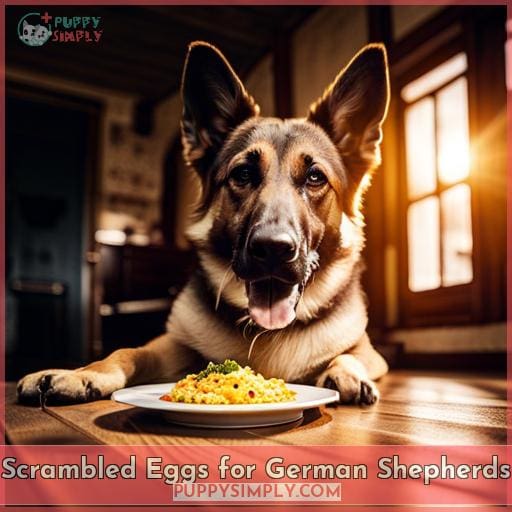 Scrambled Eggs for German Shepherds