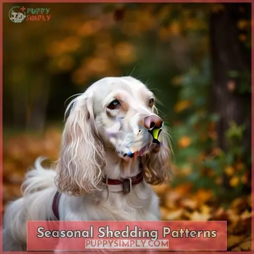 Seasonal Shedding Patterns