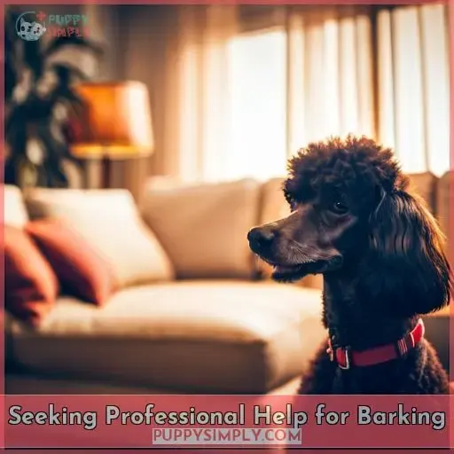 Seeking Professional Help for Barking