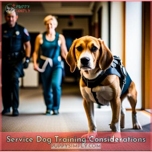 Service Dog Training Considerations