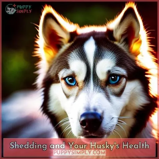 Shedding and Your Husky