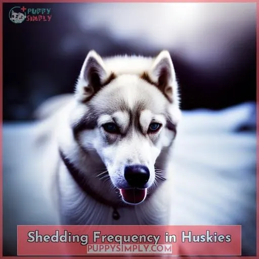 Shedding Frequency in Huskies