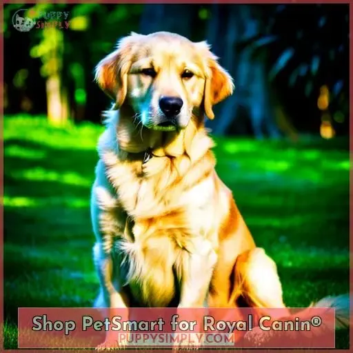 Shop PetSmart for Royal Canin®