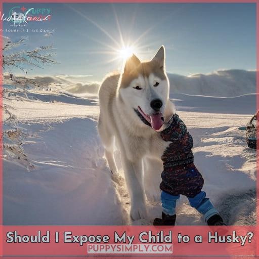 Should I Expose My Child to a Husky Should I Expose My Child to a Husky