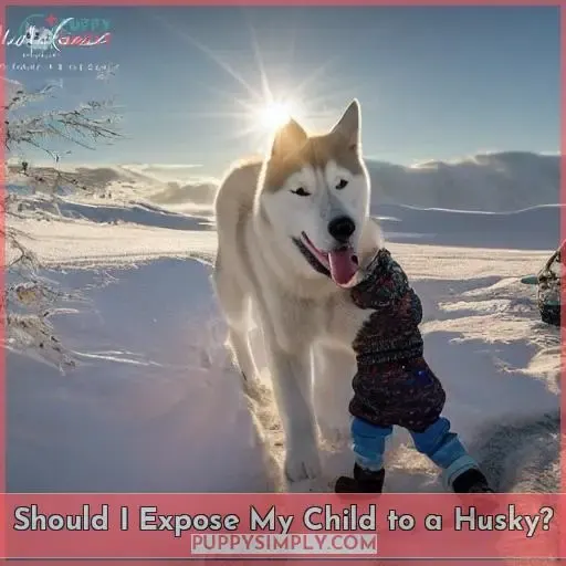 Should I Expose My Child to a Husky