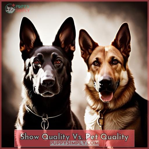 Show Quality Vs. Pet Quality