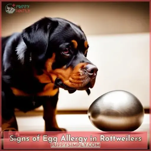 Signs of Egg Allergy in Rottweilers