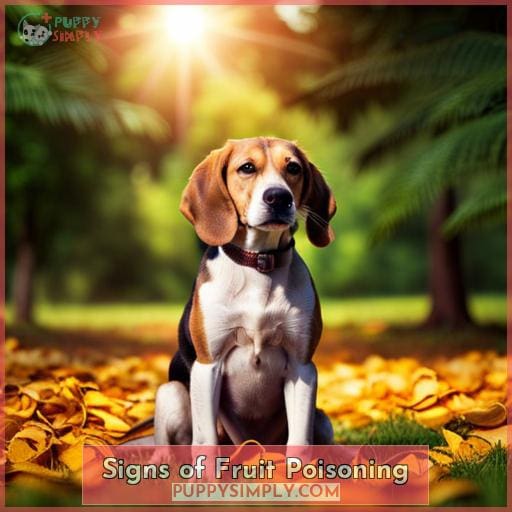 Signs of Fruit Poisoning