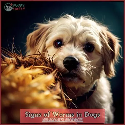 Signs of Worms in Dogs