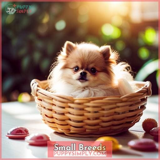 Small Breeds