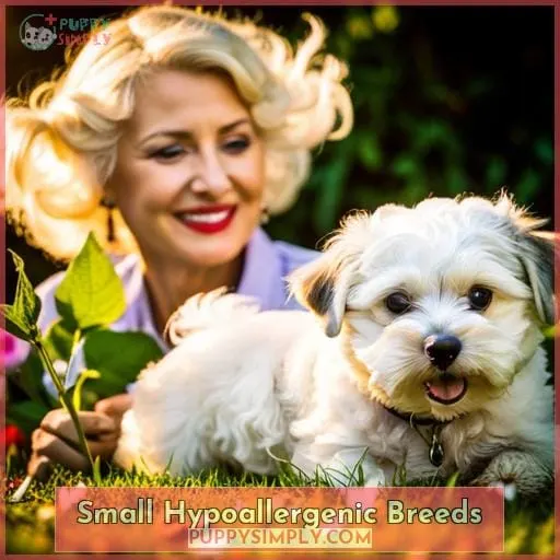 Small Hypoallergenic Breeds