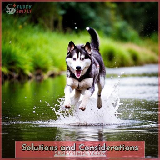 Solutions and Considerations