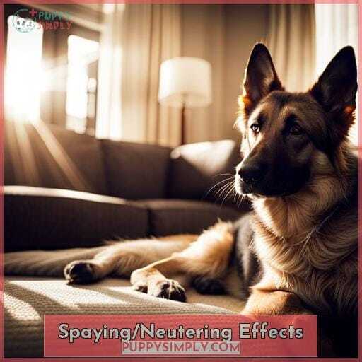 Spaying/Neutering Effects Spaying/Neutering Effects