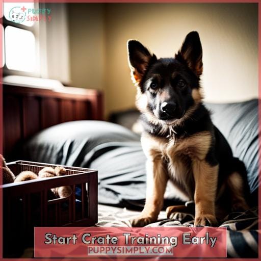Start Crate Training Early