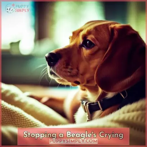 Stopping a Beagle