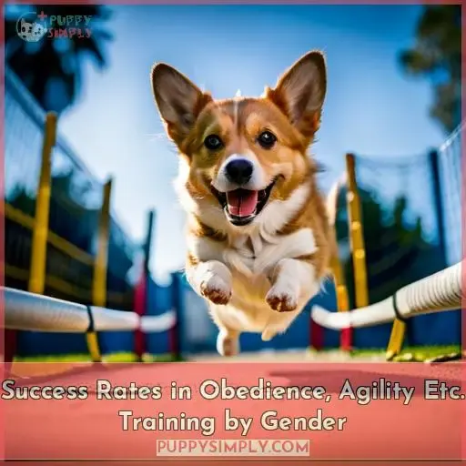 Success Rates in Obedience, Agility Etc. Training by Gender