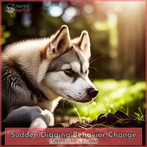 Sudden Digging Behavior Change
