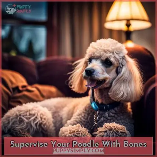 Supervise Your Poodle With Bones