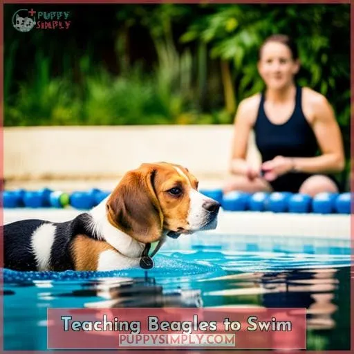 Teaching Beagles to Swim
