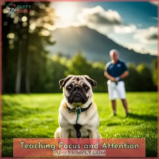 Teaching Focus and Attention
