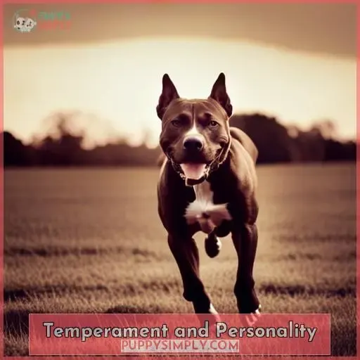 Temperament and Personality