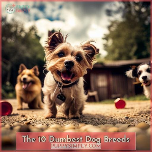 Dumbest Dog Breeds Ranked: The Least Smart Dogs Will Steal Your Heart