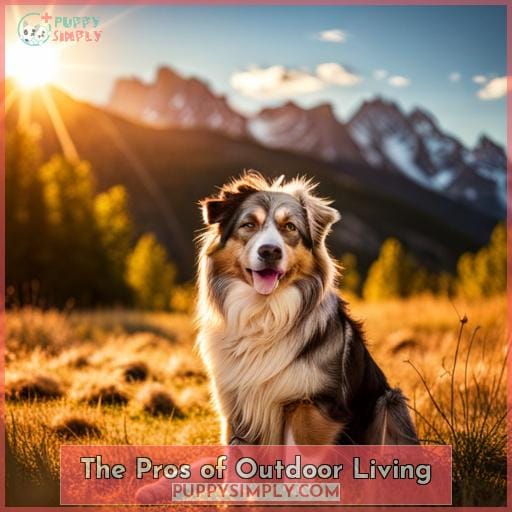 The Pros of Outdoor Living
