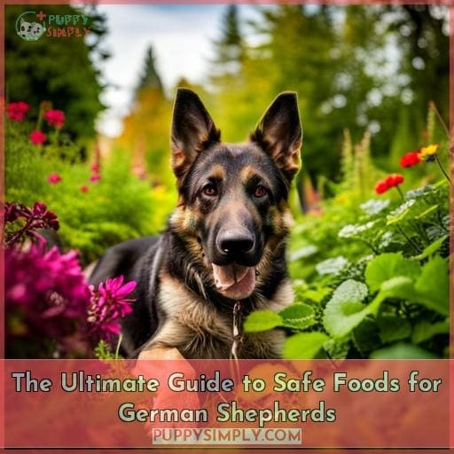 The Ultimate Guide to Safe Foods for German Shepherds