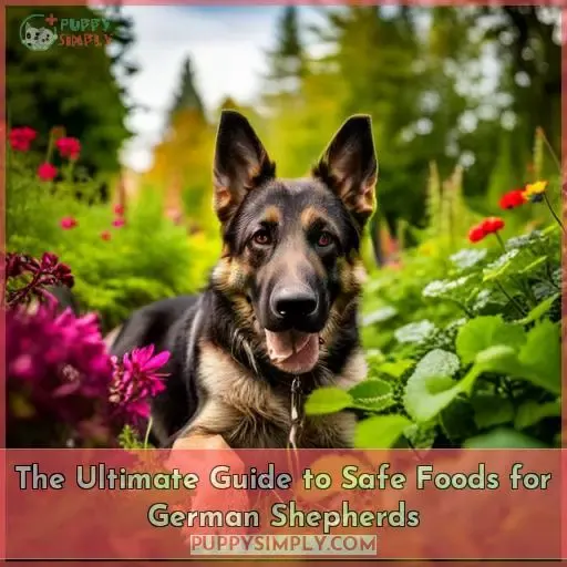 the ultimate guide to what german shepherds can and cant eat